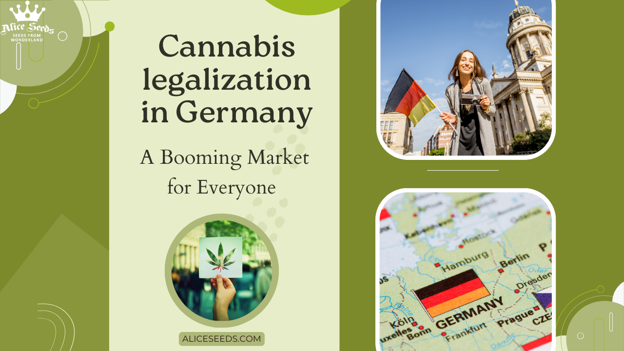 Cannabis Legalization In Germany: A Booming Market For Everyone