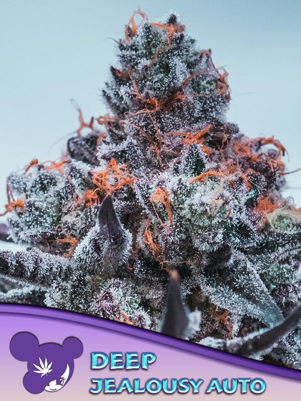 Deep Jealousy - Auto