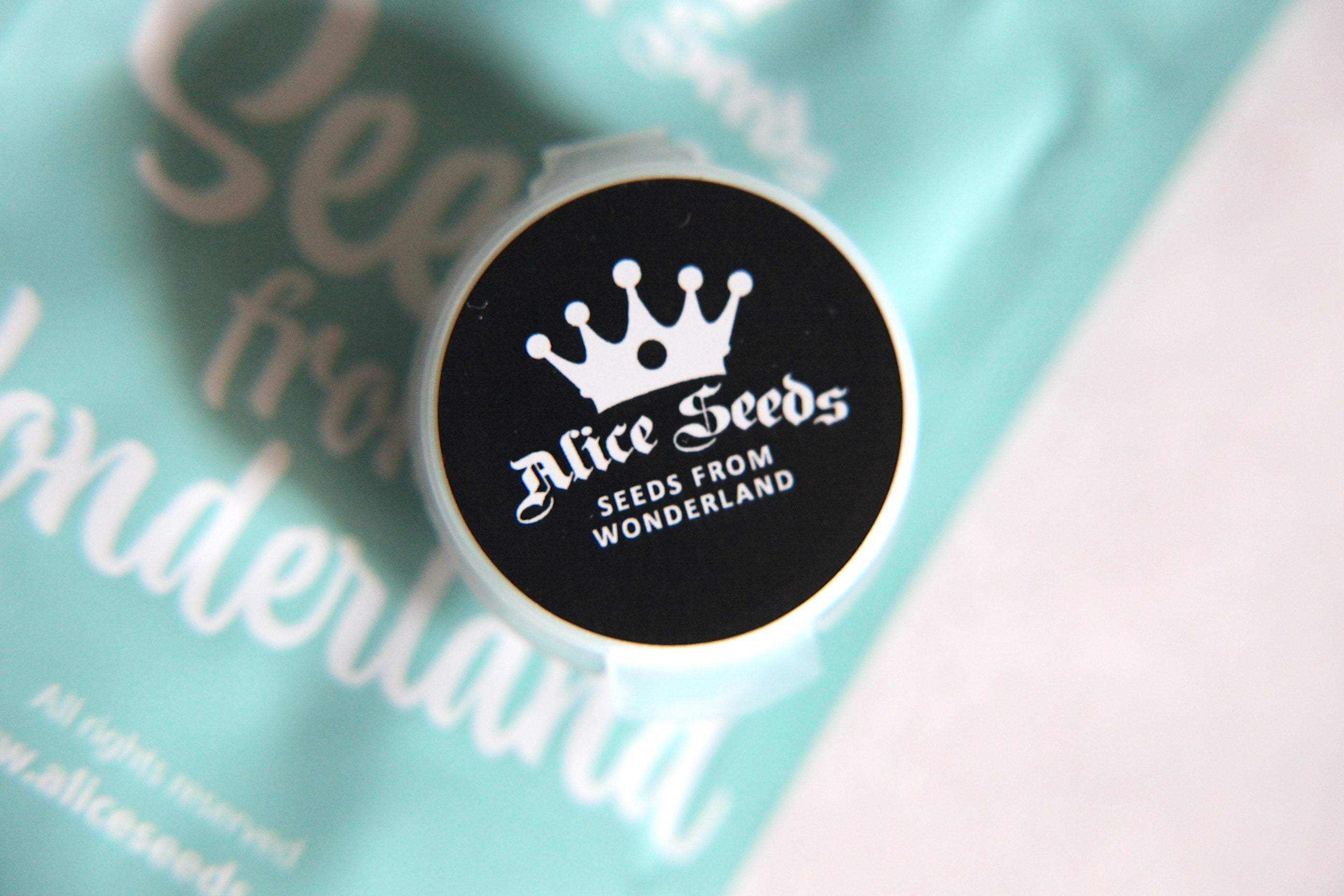 Blue Skyberry - Auto 2