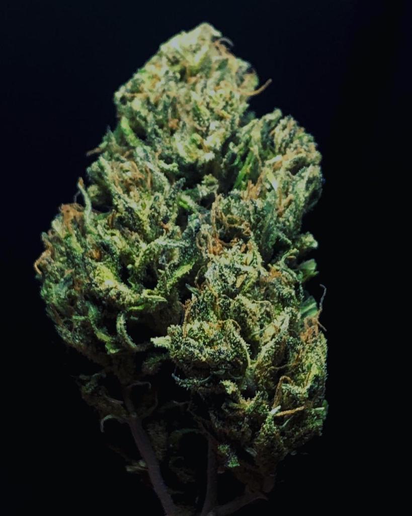 Pure CBD Punch 22 - Feminized