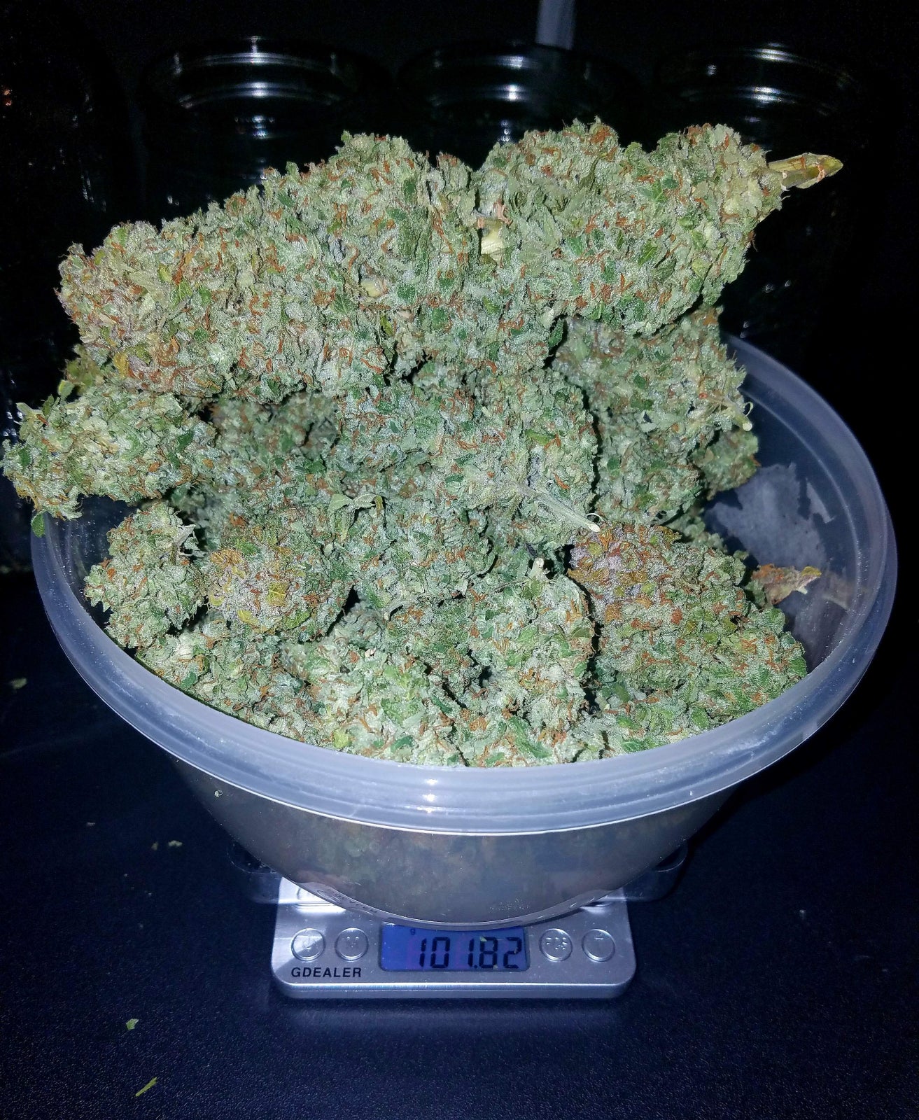 Stardawg - Auto