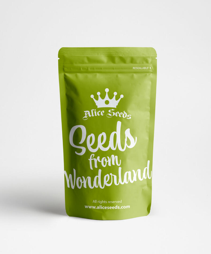 London Pound Cake - Feminized 3