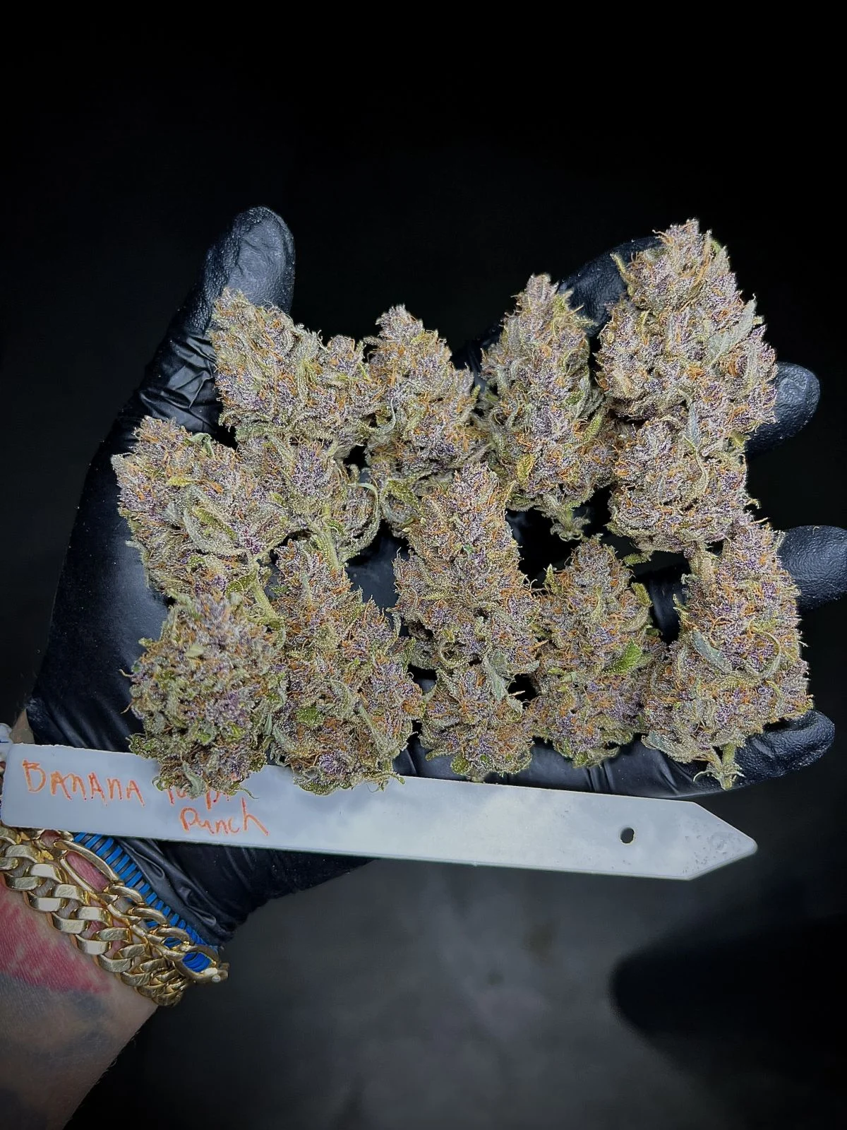 Banana Purple Punch - Auto