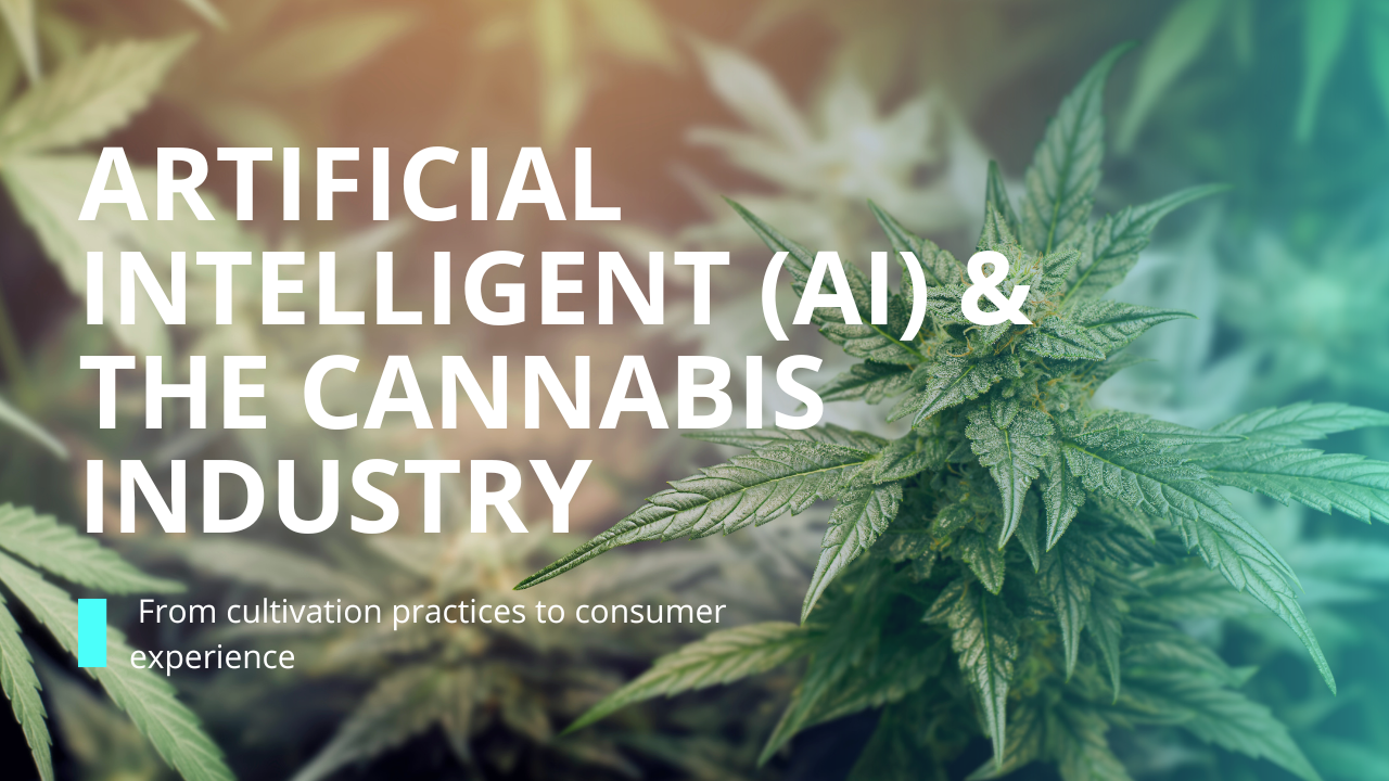 Artificial Intelligent (AI)'s potential impact on the cannabis industry