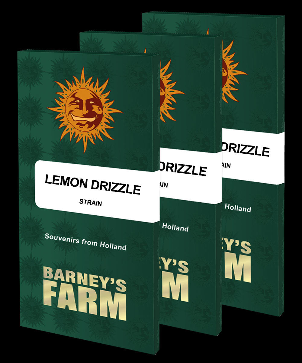 Lemon Drizzle - Feminized